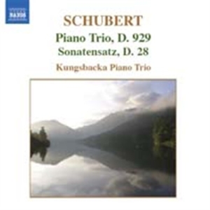 Schubert - Piano Trios i gruppen CD hos Bengans Skivbutik AB (621210)