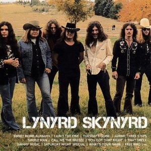 Lynyrd Skynyrd - Icon i gruppen Minishops / Lynyrd Skynyrd hos Bengans Skivbutik AB (622752)