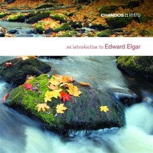 Elgar - An Introduction To i gruppen VI TIPSER / Julegavetips CD hos Bengans Skivbutik AB (624482)