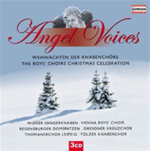 Angel Voices - The Boys Choirs Christmas i gruppen VI TIPSER / Julegavetips CD hos Bengans Skivbutik AB (627447)