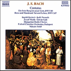 Bach Johann Sebastian - Cantatas i gruppen VI TIPSER / Julegavetips CD hos Bengans Skivbutik AB (629214)