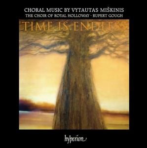 Miskinis - Time Is Endless i gruppen Externt_Lager / Naxoslager hos Bengans Skivbutik AB (630953)