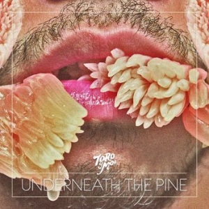 Toro Y Moi - Underneath The Pine i gruppen CD / Pop-Rock hos Bengans Skivbutik AB (636006)