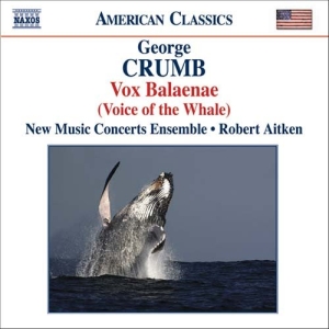 Crumb - Chamber Music i gruppen VI TIPSER / Julegavetips CD hos Bengans Skivbutik AB (637818)