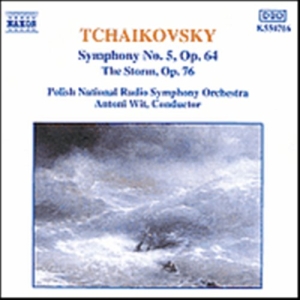 Tchaikovsky Pyotr - Symphony No 5 i gruppen VI TIPSER / Julegavetips CD hos Bengans Skivbutik AB (638350)