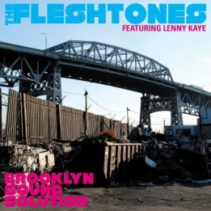 Fleshtones - Brooklyn Sound Solution i gruppen VI TIPSER / Klassiska lablar / YepRoc / CD hos Bengans Skivbutik AB (641088)