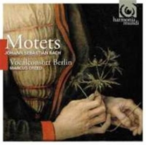 Bach J.S. - Motets i gruppen CD / Klassisk,Annet hos Bengans Skivbutik AB (644264)