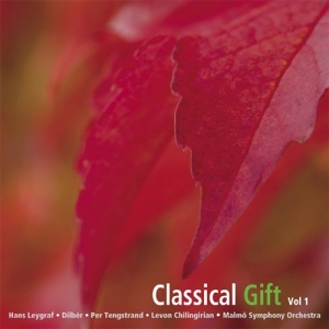 Various Artists - Classical Gift Vol 1 i gruppen cdonuppdat / CDON Jazz Klassisk NX hos Bengans Skivbutik AB (645444)