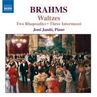 Brahms: Jando - Waltzes, Op.39 i gruppen VI TIPSER / Julegavetips CD hos Bengans Skivbutik AB (646183)