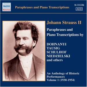 Various - Johann Strauss Ii Piano Transcripti i gruppen CD hos Bengans Skivbutik AB (646371)