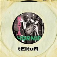 Teitur - Kata Hornid i gruppen CD / Dansk Musikkk,Elektroniskt,World Music hos Bengans Skivbutik AB (647147)