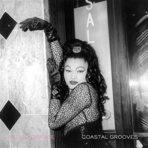 Blood Orange - Coastal Grooves i gruppen Minishops / Blood Orange hos Bengans Skivbutik AB (666934)