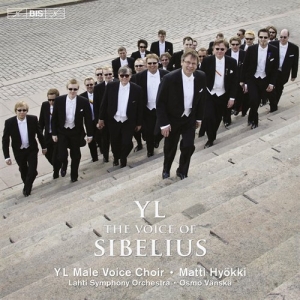 Sibelius - Yl - The Voice Of Sibelius i gruppen VI TIPSER / Julegavetips CD hos Bengans Skivbutik AB (672996)