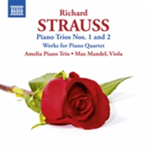 Richard Strauss - Piano Trios Nos 1 And 2 i gruppen VI TIPSER / Julegavetips CD hos Bengans Skivbutik AB (675074)