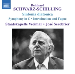 Schwarz-Schilling - Sinfonie In C i gruppen VI TIPSER / Julegavetips CD hos Bengans Skivbutik AB (680293)