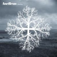 Brun Ane - Sketches i gruppen CD / Pop-Rock hos Bengans Skivbutik AB (682768)