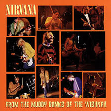 Nirvana - From The Muddy Banks i gruppen CD / Pop-Rock hos Bengans Skivbutik AB (682841)