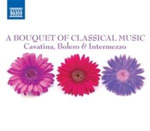 Various Artists - A Bouquet Of Classical Music i gruppen CD / Annet hos Bengans Skivbutik AB (695275)