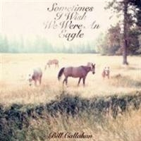 Callahan Bill - Sometimes I Wish We Were An Eagle i gruppen CD / Pop-Rock hos Bengans Skivbutik AB (695781)