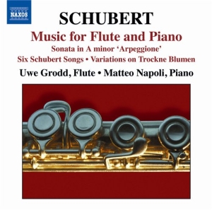 Schubert - Flute And Piano Music i gruppen VI TIPSER / Julegavetips CD hos Bengans Skivbutik AB (696092)