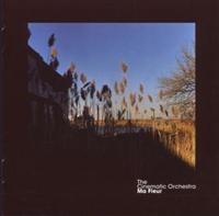 The Cinematic Orchestra - Ma Fleur i gruppen CD / Pop-Rock hos Bengans Skivbutik AB (696568)