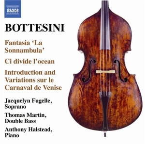 Bottesini - Chamber And Vocal Works i gruppen Externt_Lager / Naxoslager hos Bengans Skivbutik AB (698085)