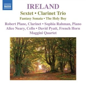 Ireland - Sextet i gruppen VI TIPSER / Julegavetips CD hos Bengans Skivbutik AB (698280)