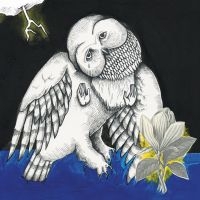 Songs: Ohia - Magnolia Electric Co. (Deluxe Ed.) i gruppen -Start BK hos Bengans Skivbutik AB (780812)