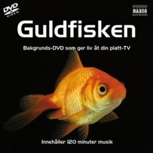 Skärmsläckar Dvd - Guldfiskar i gruppen cdonuppdat / CDON Jazz Klassisk NX hos Bengans Skivbutik AB (888653)