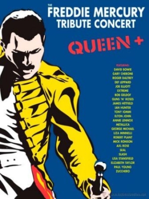 Various Artists - The Freddie Mercury Tribute Concert i gruppen Musikkk-DVD hos Bengans Skivbutik AB (890249)