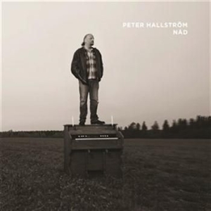 Hallström Peter - Nåd i gruppen Externt_Lager / Naxoslager hos Bengans Skivbutik AB (916105)