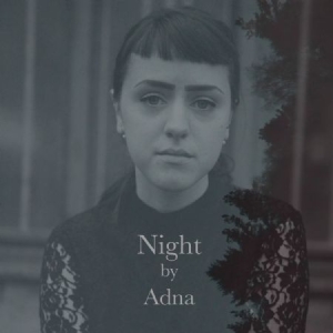 Adna - Night i gruppen CD / Pop-Rock,Svensk Musikkk hos Bengans Skivbutik AB (947770)