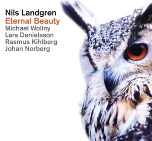 Nils Landgrenmichael Wollny Johan - Eternal Beauty i gruppen cdonuppdat / CDON Jazz Klassisk NX hos Bengans Skivbutik AB (950732)