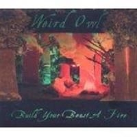 Weird Owl - Build Your Beast A Fire i gruppen CD / Metal,Pop-Rock hos Bengans Skivbutik AB (957072)