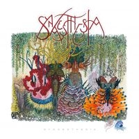 Synaesthesia - Synaesthesia i gruppen CD hos Bengans Skivbutik AB (983530)