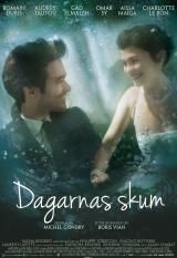 Dagarnas skum i gruppen Film DVD hos Bengans Skivbutik AB (986600)