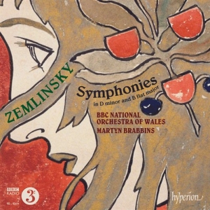 Zemlinsky - Symphonies i gruppen VI TIPSER / Julegavetips CD hos Bengans Skivbutik AB (997055)