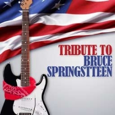 Various Artists - Tribute To Bruce Springsteen i gruppen CD hos Bengans Skivbutik AB (1099939)