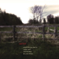 Wadada Leo Smith Jamie Saft Joe M - Red Hill (180 G)