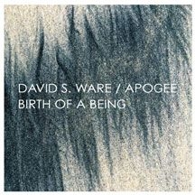 Ware David S. - Birth Of A Being (Expanded) i gruppen CD hos Bengans Skivbutik AB (1705191)