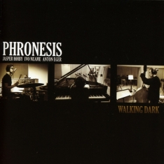 Phronesis - Walking Dark