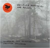 Trondheim Jazz Orchestra & Christia - Untitled Arpeggios And Pulse i gruppen VI TIPSER / Julegavetips CD hos Bengans Skivbutik AB (1713357)