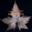 Adiemus - The Journey - The Best Of Adie i gruppen CD hos Bengans Skivbutik AB (1846551)