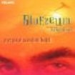 Bluezeum - Put Your Mind On Hold i gruppen CD hos Bengans Skivbutik AB (1902224)