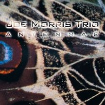 Morris Joe (Trio) - Antennae i gruppen CD hos Bengans Skivbutik AB (1916317)