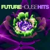 Various Artists - Future House Hits