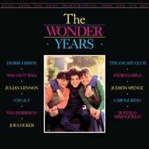 Various Artists - Wonder Years: Music From The Emmy A i gruppen VINYL hos Bengans Skivbutik AB (2101963)