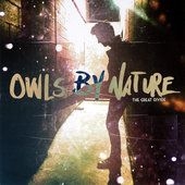 Owls By Nature - Great Divide (+ Download) i gruppen VINYL hos Bengans Skivbutik AB (2236637)