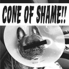 Faith No More - Cone Of Shame (Clear Vinyl) i gruppen VINYL hos Bengans Skivbutik AB (2255674)