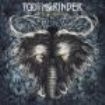 Toothgrinder - Nocturnal Masquerade (Vinyl) i gruppen VINYL hos Bengans Skivbutik AB (2271532)